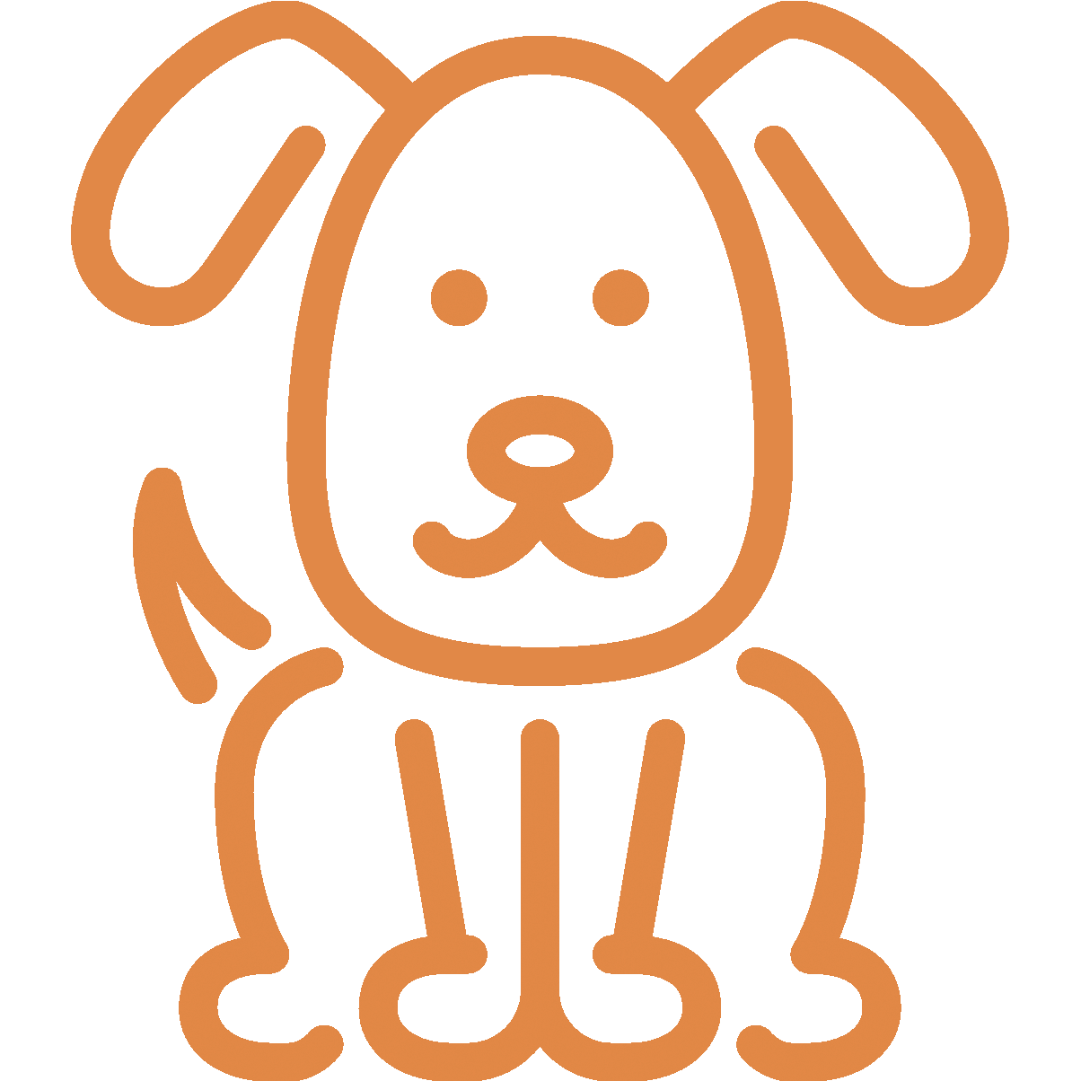 Changement d'alimentation chez le chien